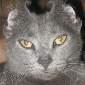 Meet your Posher, Sherri